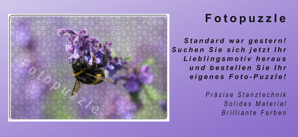 Fotopuzzle - Iris (Schwertlilie)