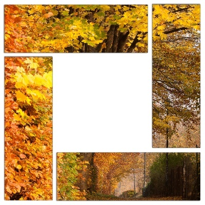 Fotoleinwand - Mehrteiler - Herbststimmung